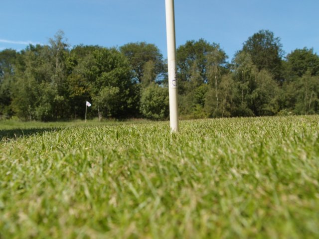 TerApel 016.jpg